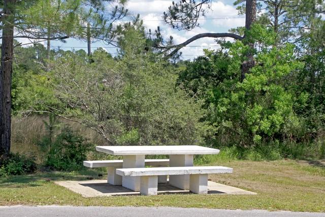 35 East Nursery Road Santa Rosa Beach, FL 32459 - Photo 34 of 45