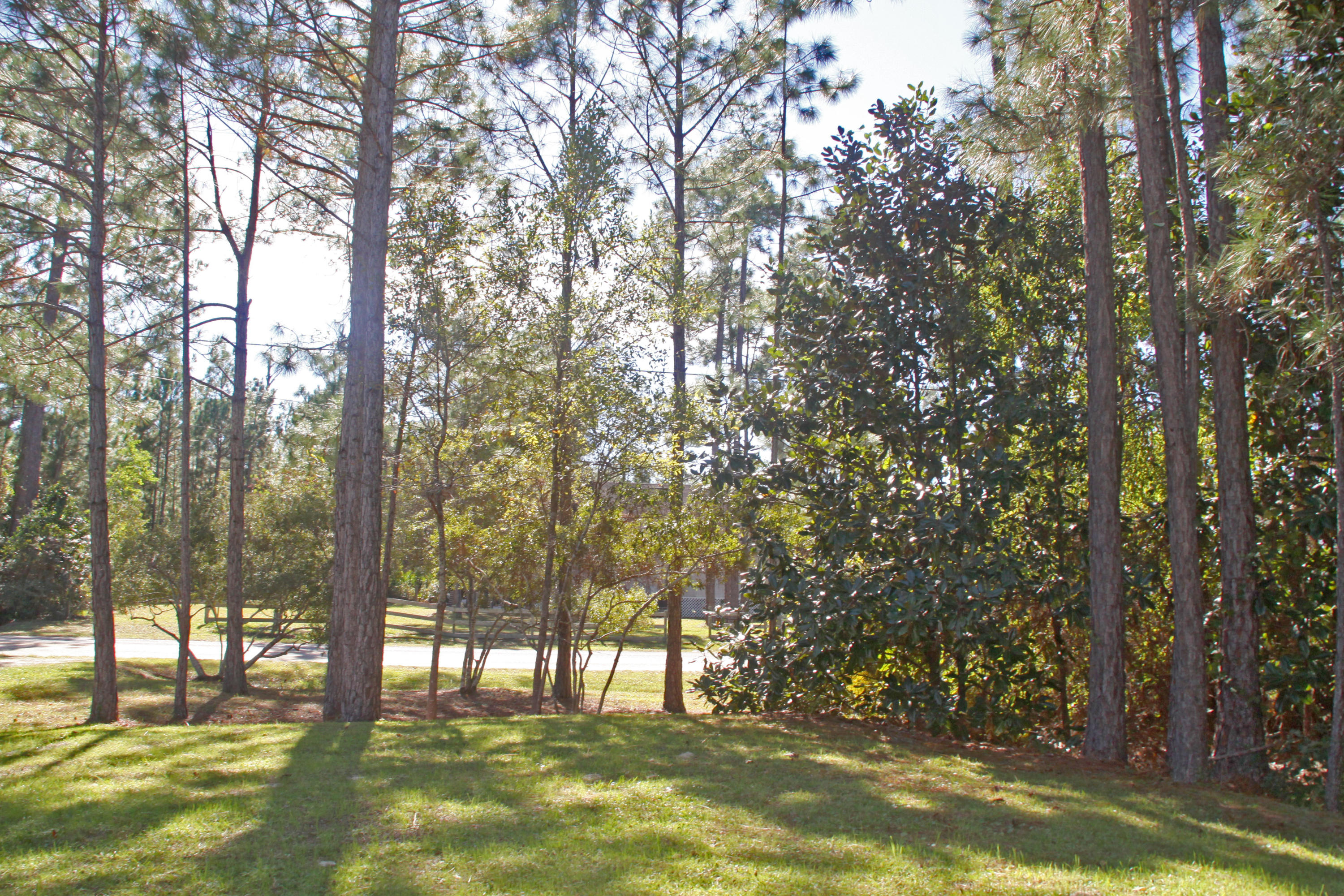 35 East Nursery Road Santa Rosa Beach, FL 32459 - Photo 6 of 45