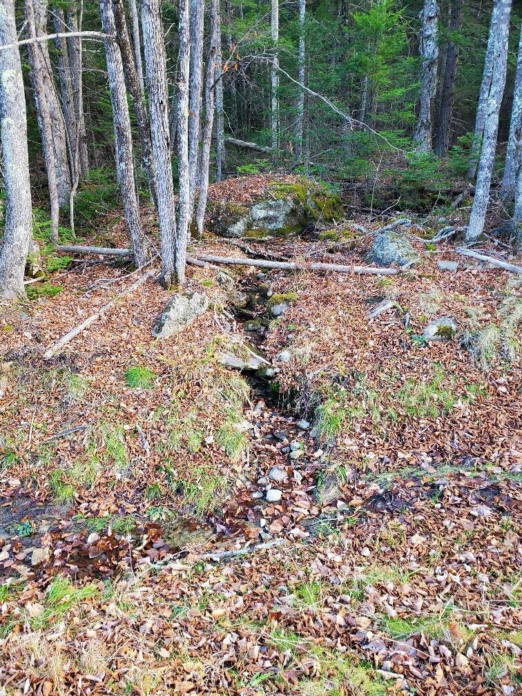 0 Rte 143 & Fletcher Hill Road Dixmont, ME 04932 - Photo 5 of 25 20221110_091652_resized