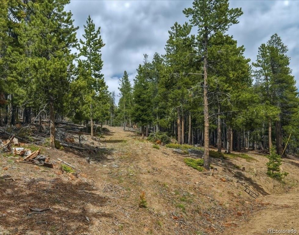 0 Sinton Road Evergreen, CO 80439 - Photo 13 of 20