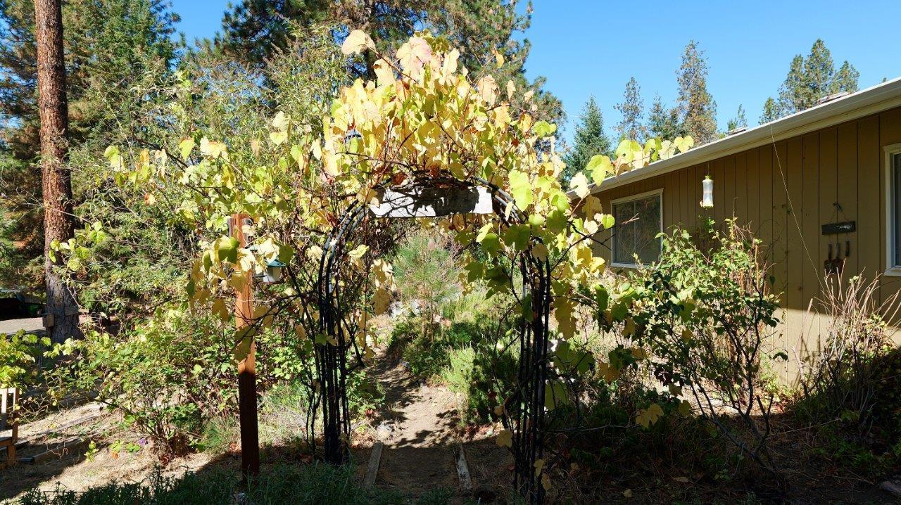 501 Old Ferry Road Shady Cove, OR 97539 - Photo 44 of 54 501OF (18)