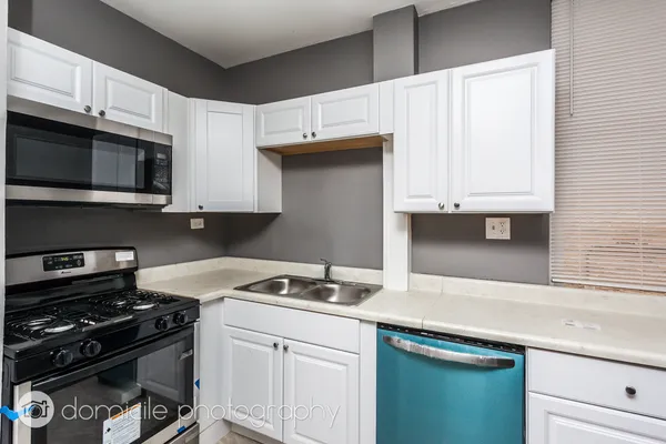 $1,825 | 1022 West Fry Street, Unit 1R, Chicago, IL 60642
