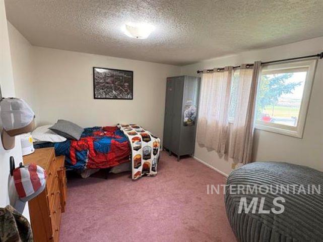3197 Neeley Road American Falls, ID 83211 - Photo 20 of 45 Room featuring light-colored walls and a textured ceiling