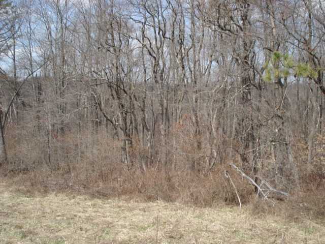 0 Marshall Road Rockbridge, OH 43149 - Photo 2 of 18
