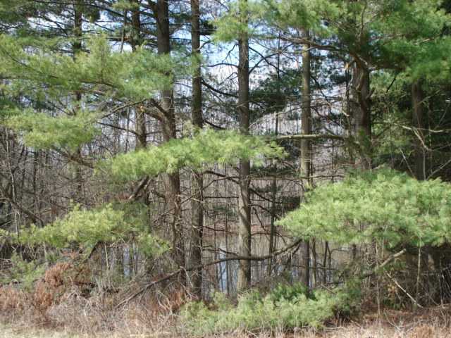 0 Marshall Road Rockbridge, OH 43149 - Photo 4 of 18