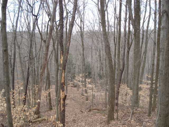 0 Marshall Road Rockbridge, OH 43149 - Photo 7 of 18