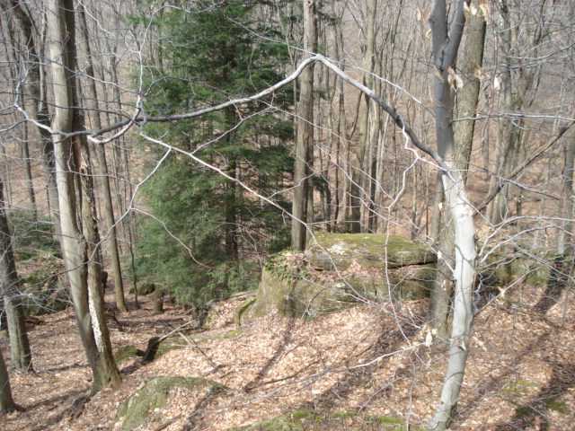 0 Marshall Road Rockbridge, OH 43149 - Photo 8 of 18