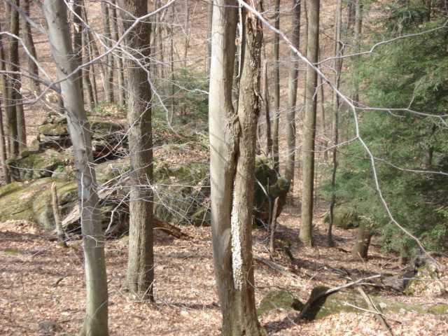 0 Marshall Road Rockbridge, OH 43149 - Photo 10 of 18