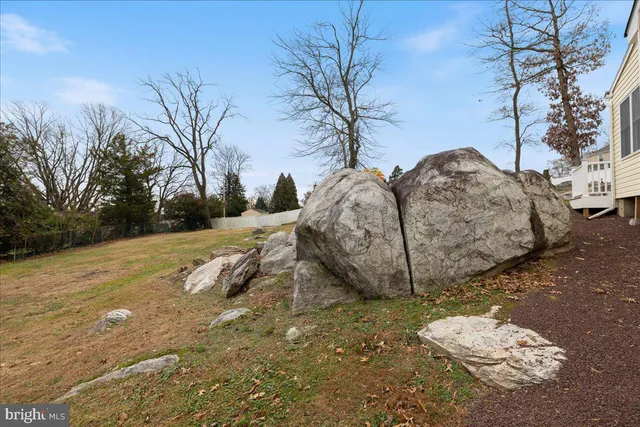 a view of a backyard with large trees