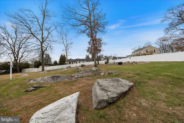 a view of a park that has a tree
