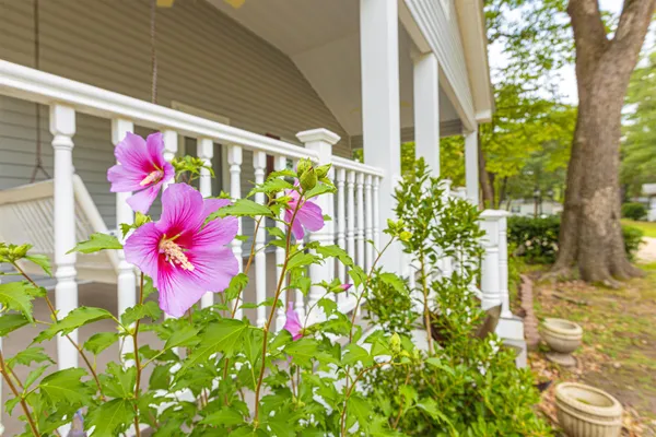 $199,000 | 517 Porter Drive, Murrells Inlet, SC 29576