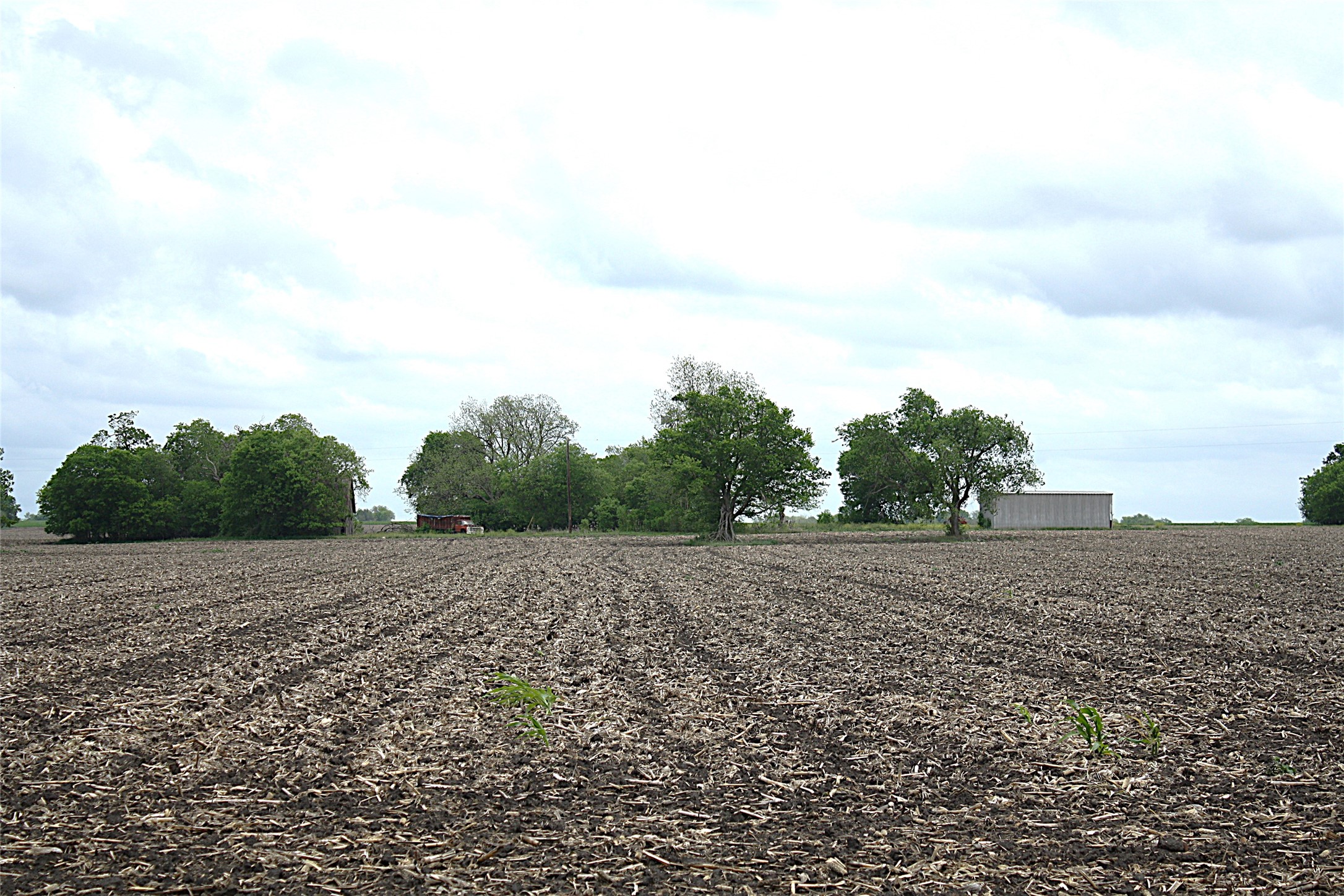 19374 Pennington Branch Road Holland, TX 76534 - Photo 11 of 24 Expansive cultivated land with distant structures and mature trees under a vast sky