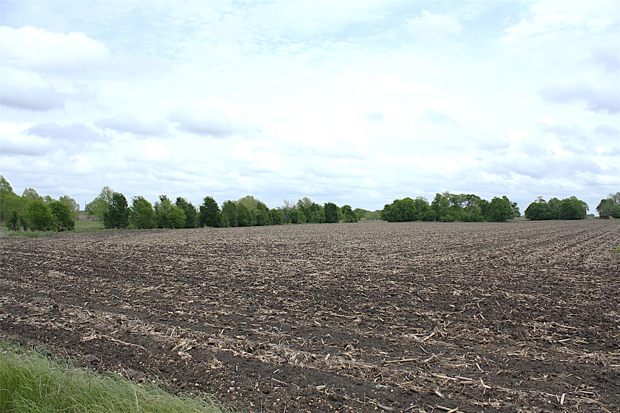 19374 Pennington Branch Road Holland, TX 76534 - Photo 17 of 24 Expansive field with dark, tilled soil, bordered by a line of green trees in the distance