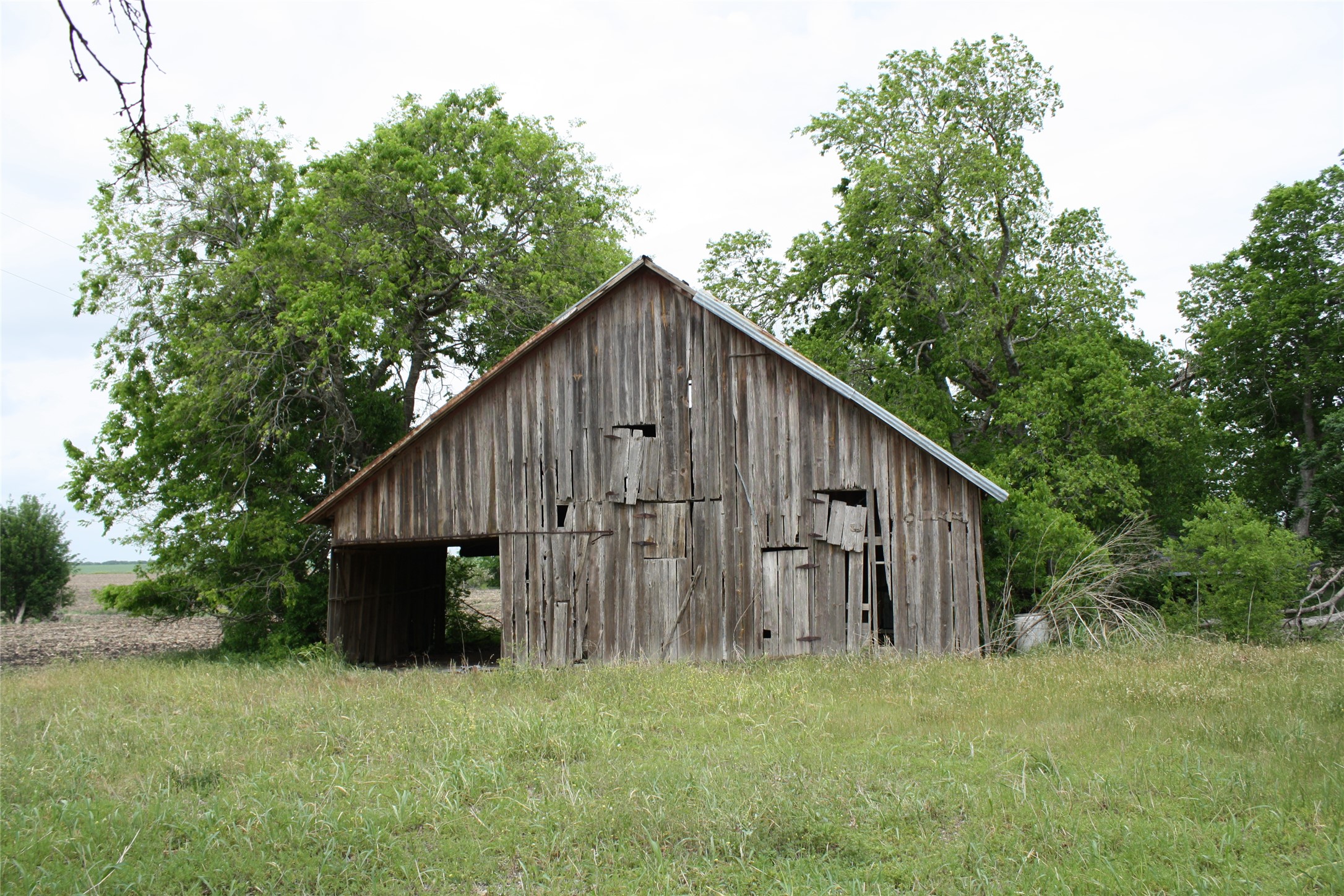19374 Pennington Branch Road Holland, TX 76534 - Photo 20 of 24 The property features a large wooden barn with a metal roof, situated in an expansive grassy field