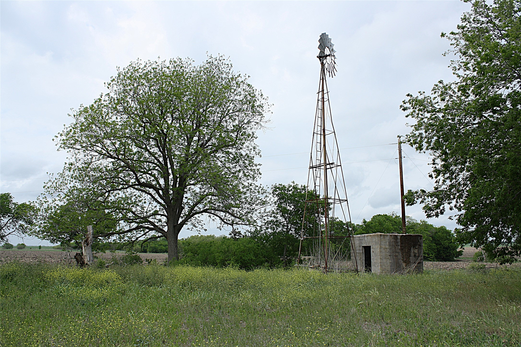 19374 Pennington Branch Road Holland, TX 76534 - Photo 21 of 24