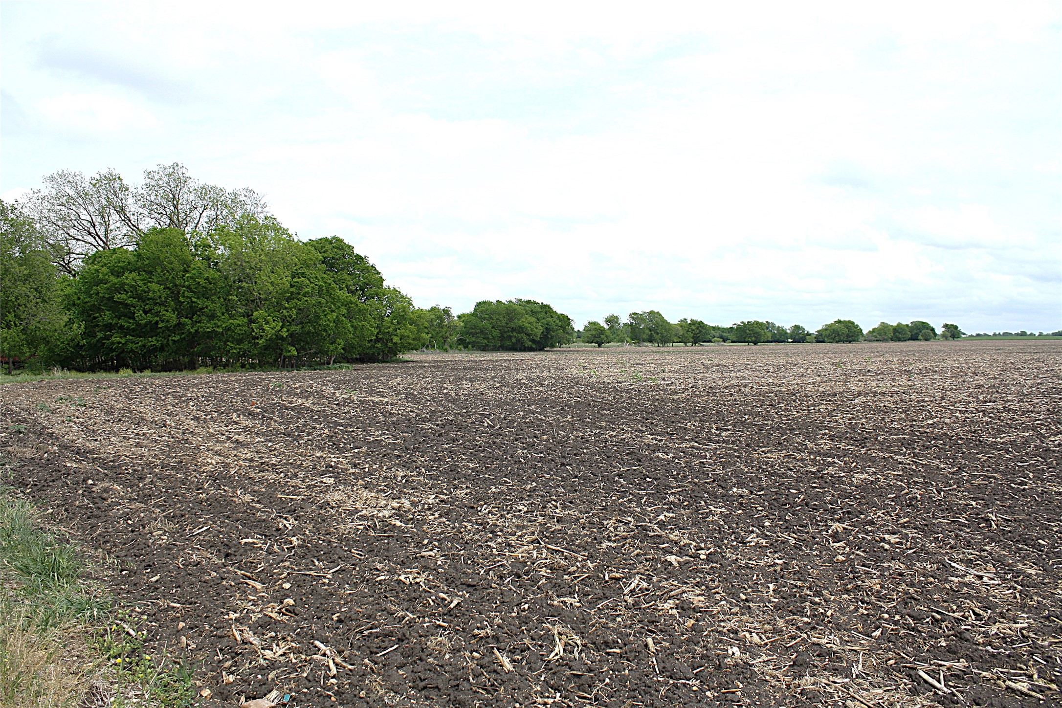 19374 Pennington Branch Road Holland, TX 76534 - Photo 22 of 24 Expansive cultivated land with a tree line in the background