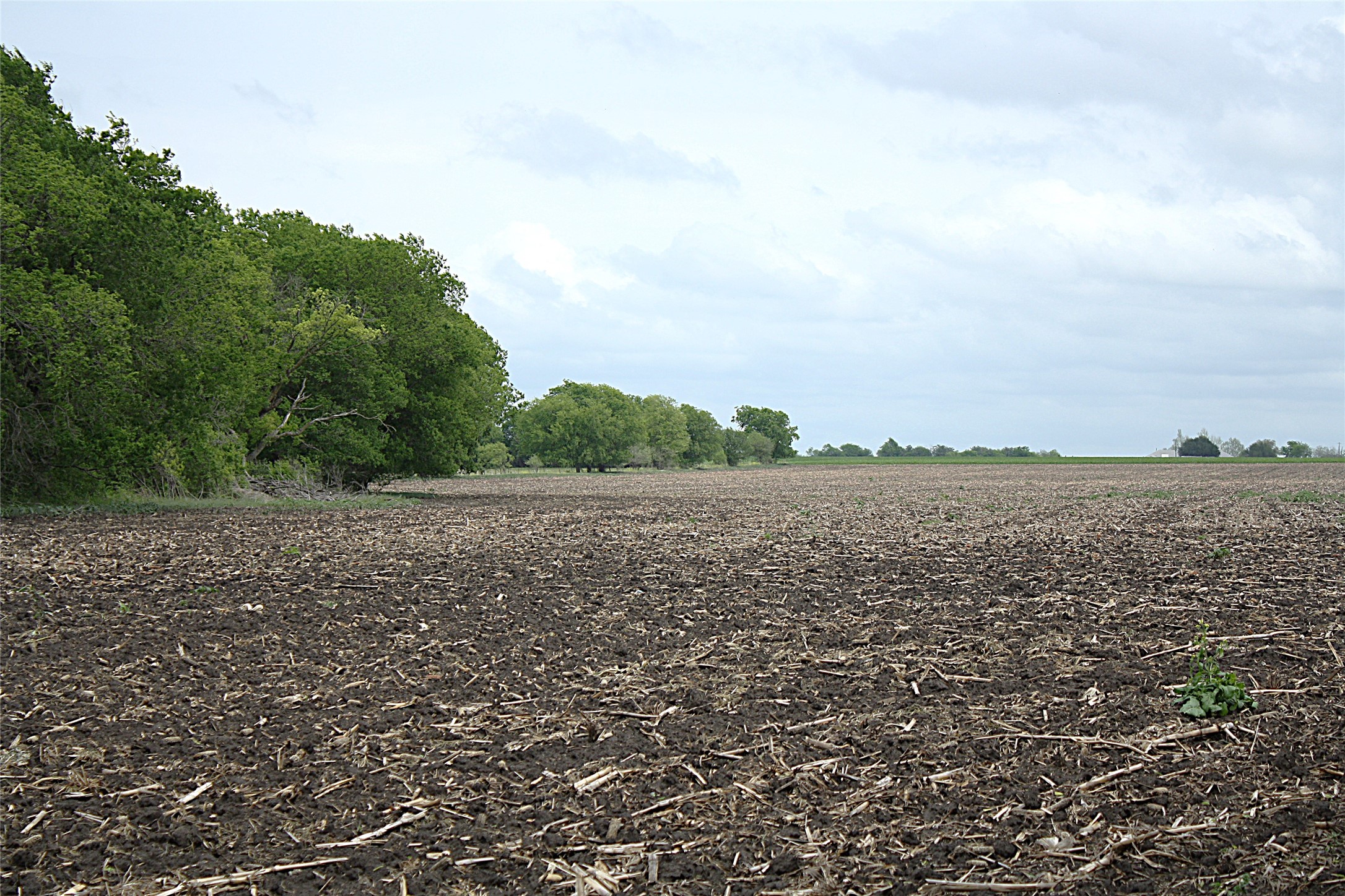 19374 Pennington Branch Road Holland, TX 76534 - Photo 23 of 24 Expansive property featuring a large tilled field, surrounded by a line of mature trees
