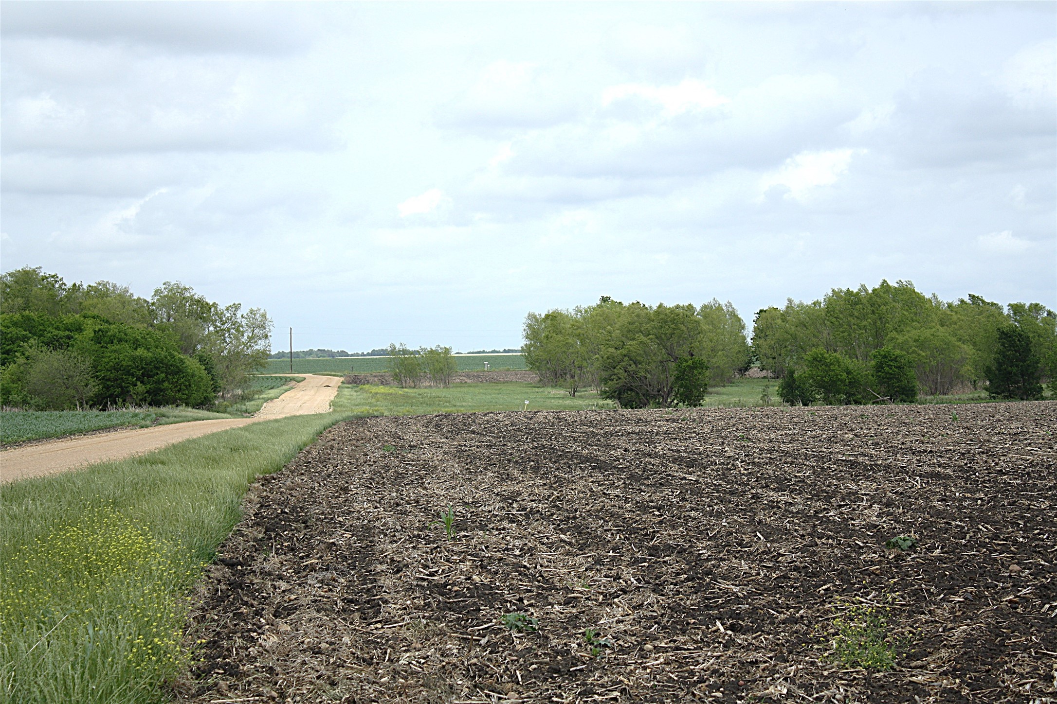 19374 Pennington Branch Road Holland, TX 76534 - Photo 24 of 24