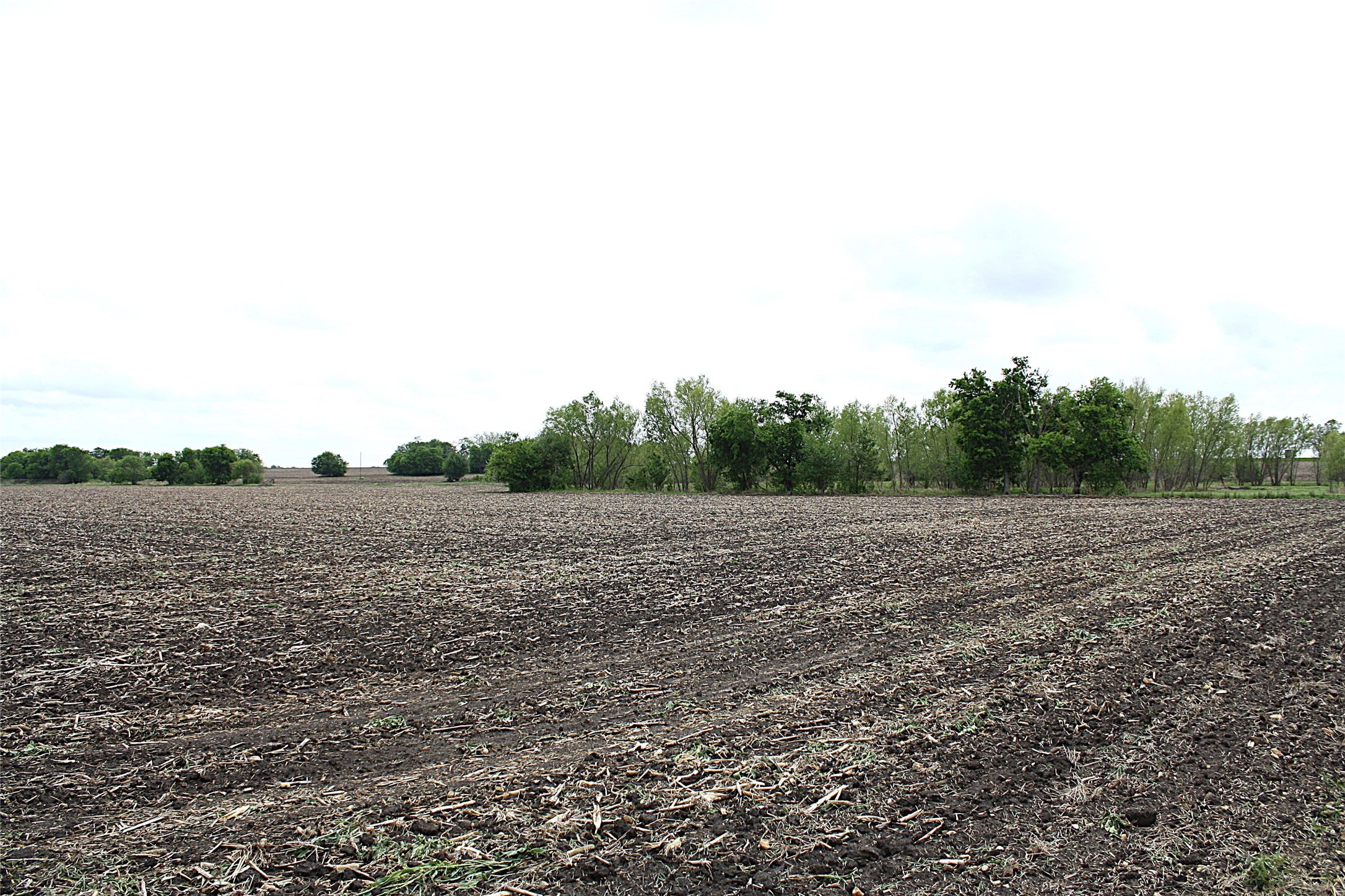 19374 Pennington Branch Road Holland, TX 76534 - Photo 9 of 24 Expansive land offering a wide, open field with visible soil and distant trees