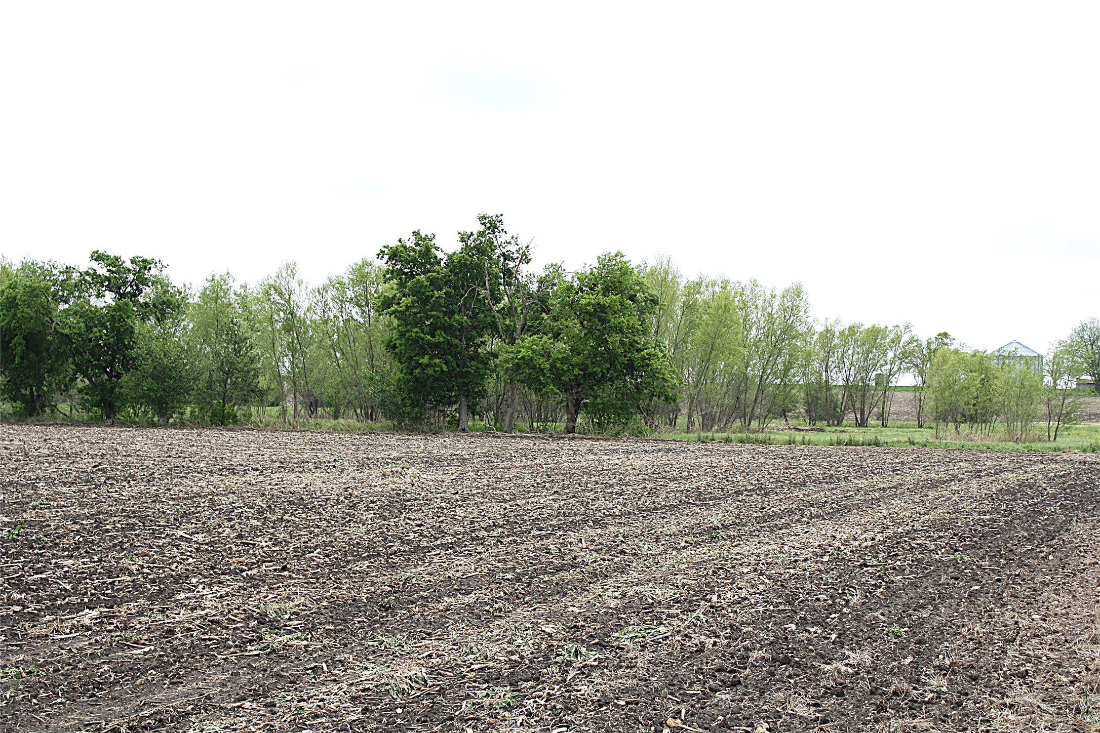 19374 Pennington Branch Road Holland, TX 76534 - Photo 10 of 24 The property features an expanse of tilled soil