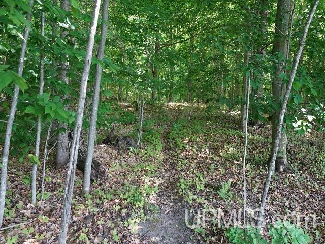 19110 West Diller Road Germfask, MI 49836 - Photo 18 of 28
