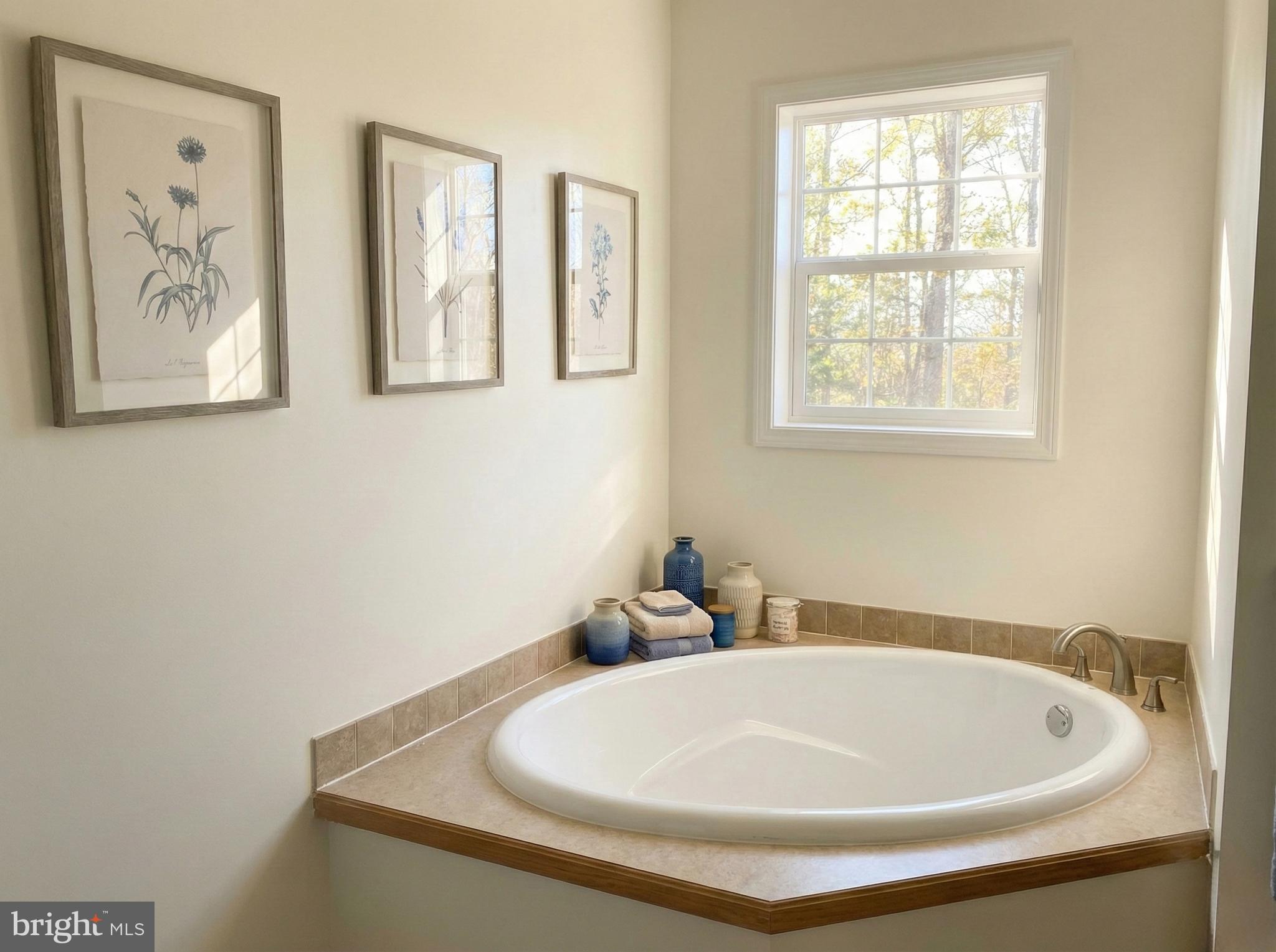 397 Parkside Road Linden, VA 22642 - Photo 19 of 32 a bathroom with a tub and a window