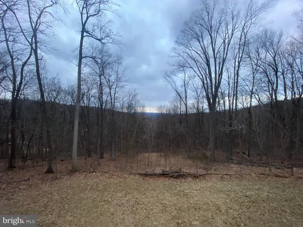 a view of backyard with green space
