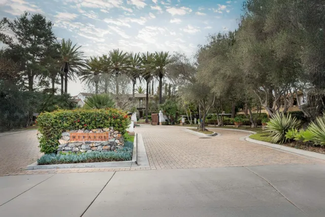 a row of palm trees and a yard with potted plants