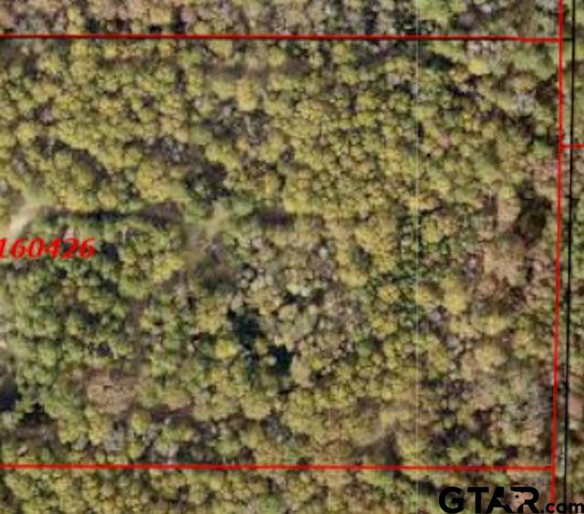 4 Venus Road Gladewater, TX 75647 - Photo 4 of 9