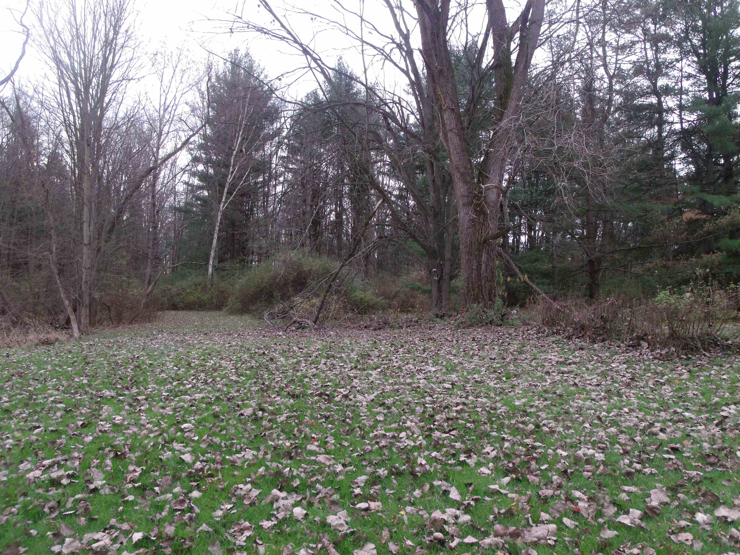 3677 Palms Road Casco, MI 48064 - Photo 30 of 40 50128659-29.JPG