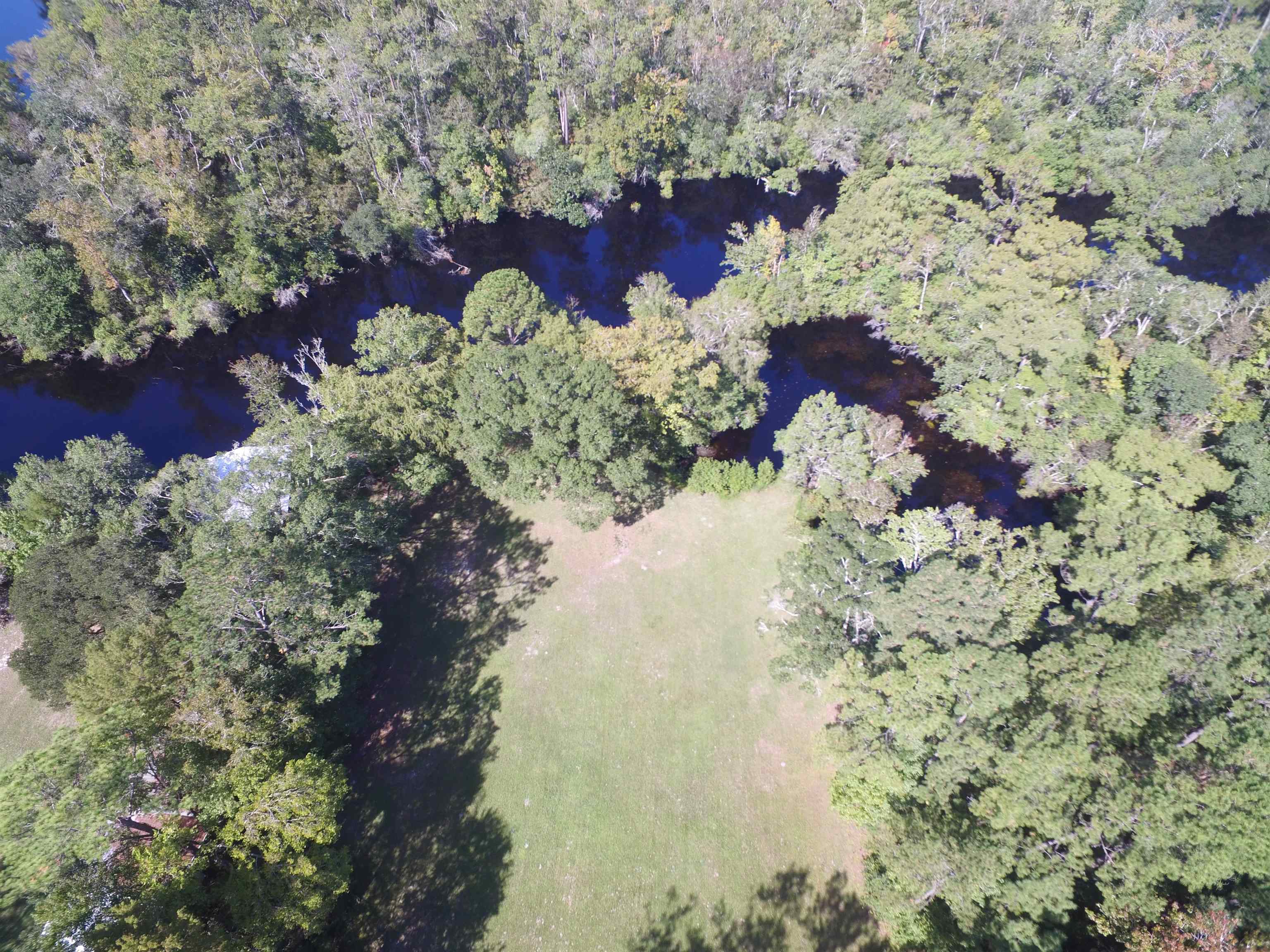 142 Beasley Road Sopchoppy, FL 32358 - Photo 11 of 42