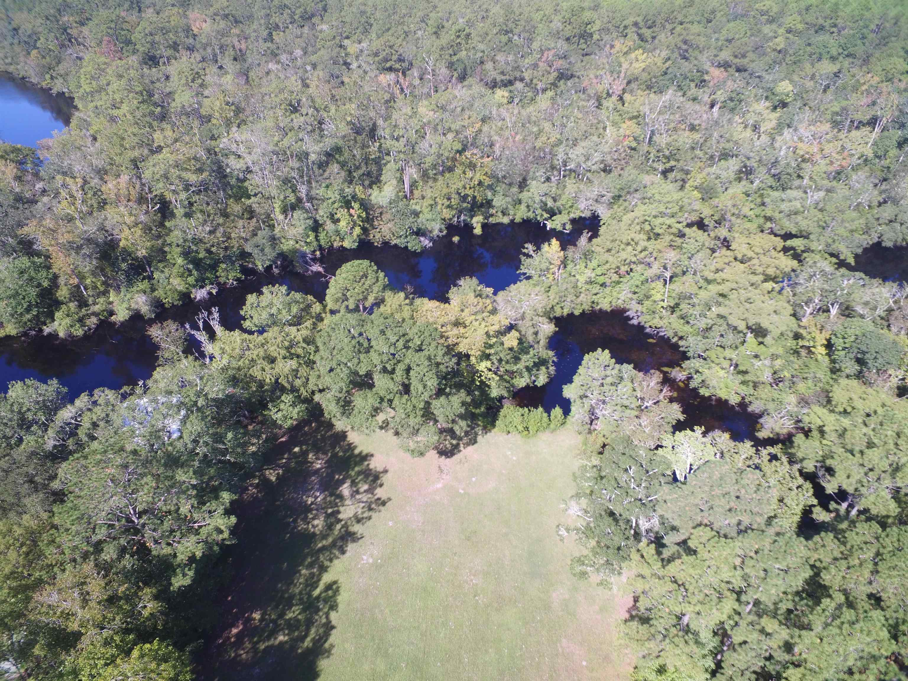 142 Beasley Road Sopchoppy, FL 32358 - Photo 12 of 42