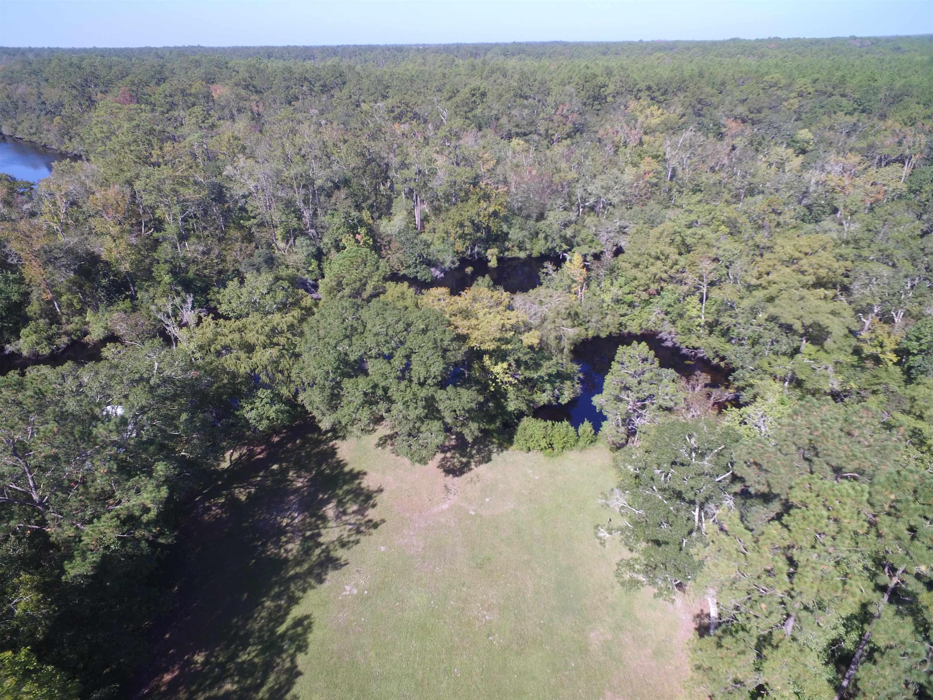 142 Beasley Road Sopchoppy, FL 32358 - Photo 13 of 42