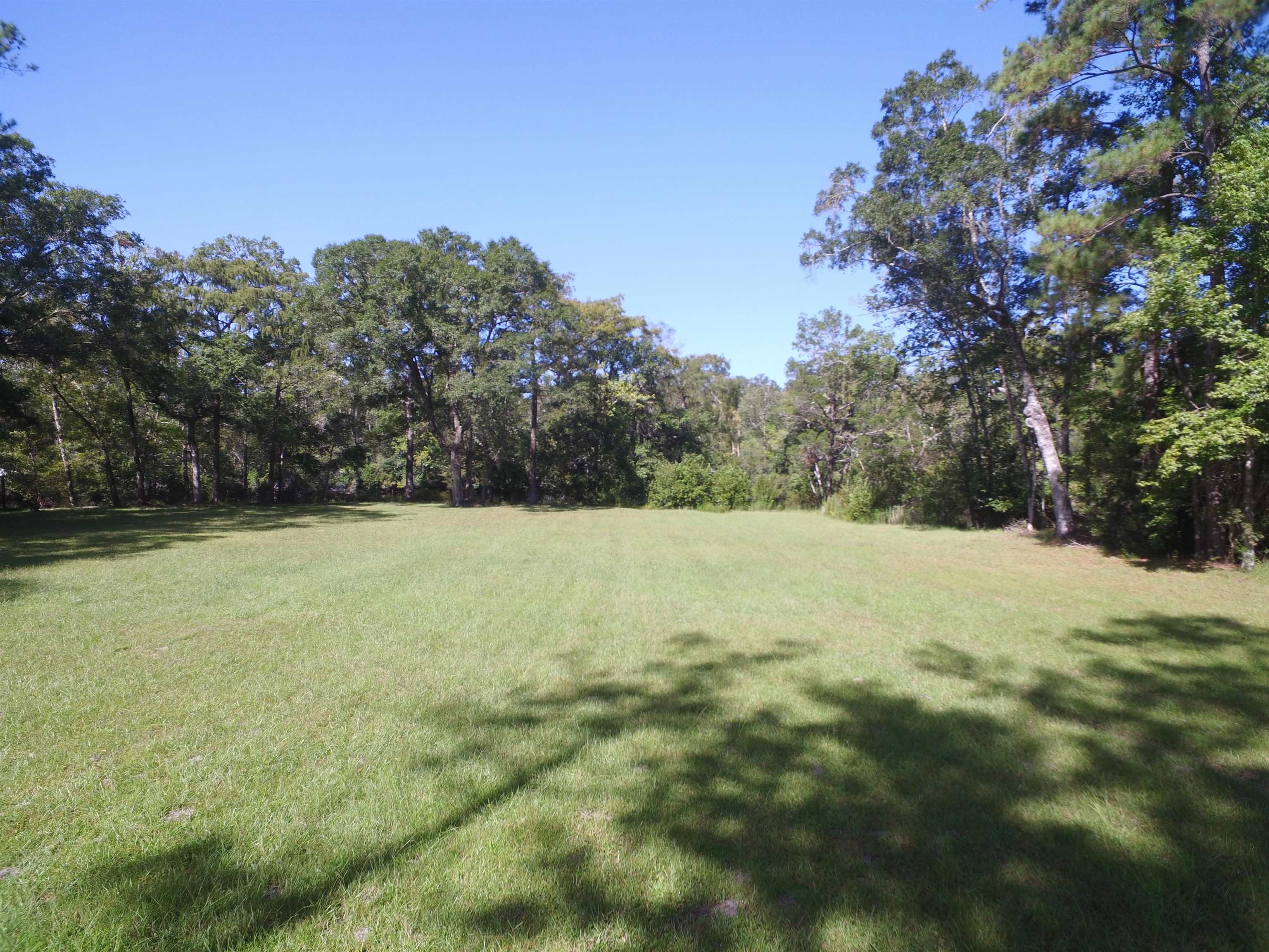 142 Beasley Road Sopchoppy, FL 32358 - Photo 16 of 42