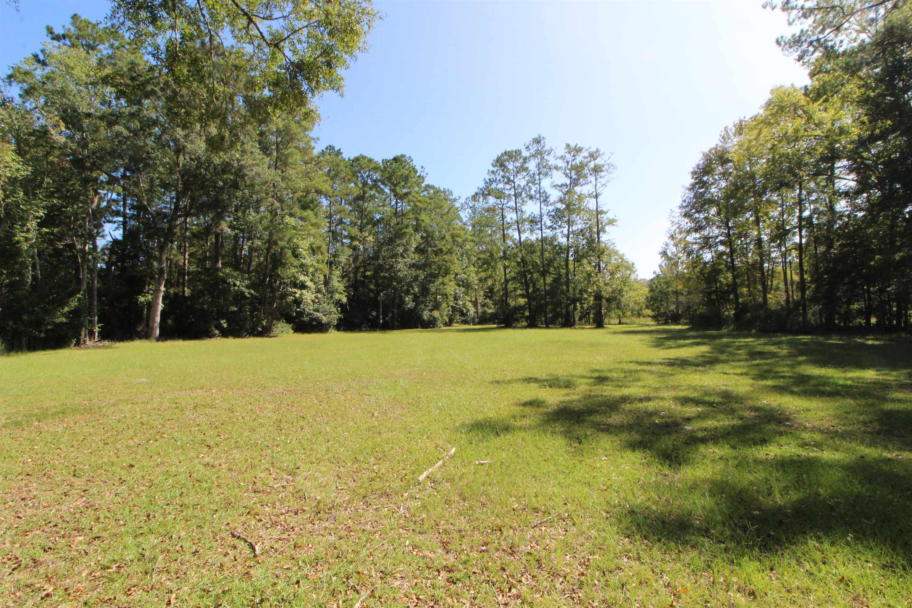 142 Beasley Road Sopchoppy, FL 32358 - Photo 17 of 42