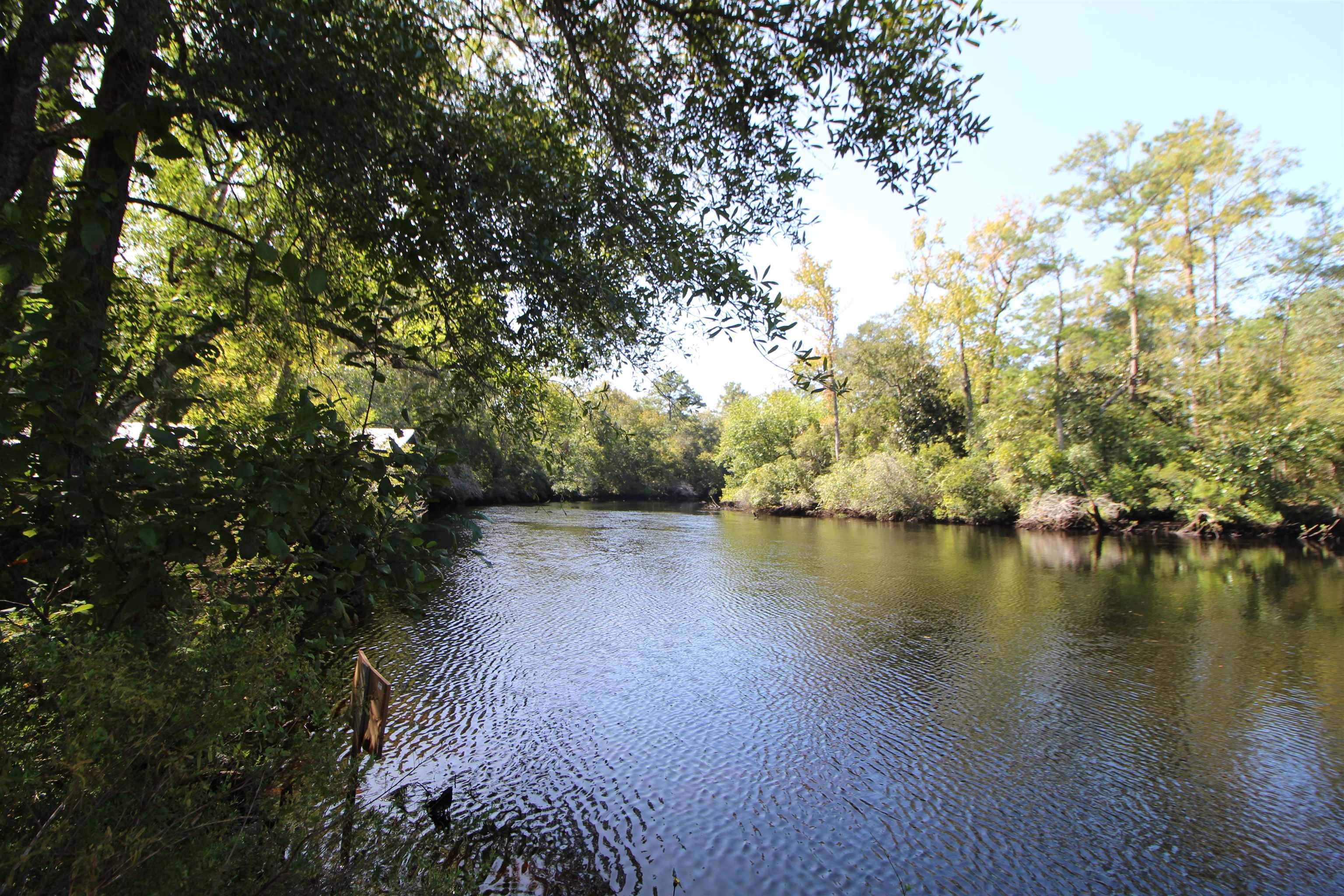 142 Beasley Road Sopchoppy, FL 32358 - Photo 20 of 42