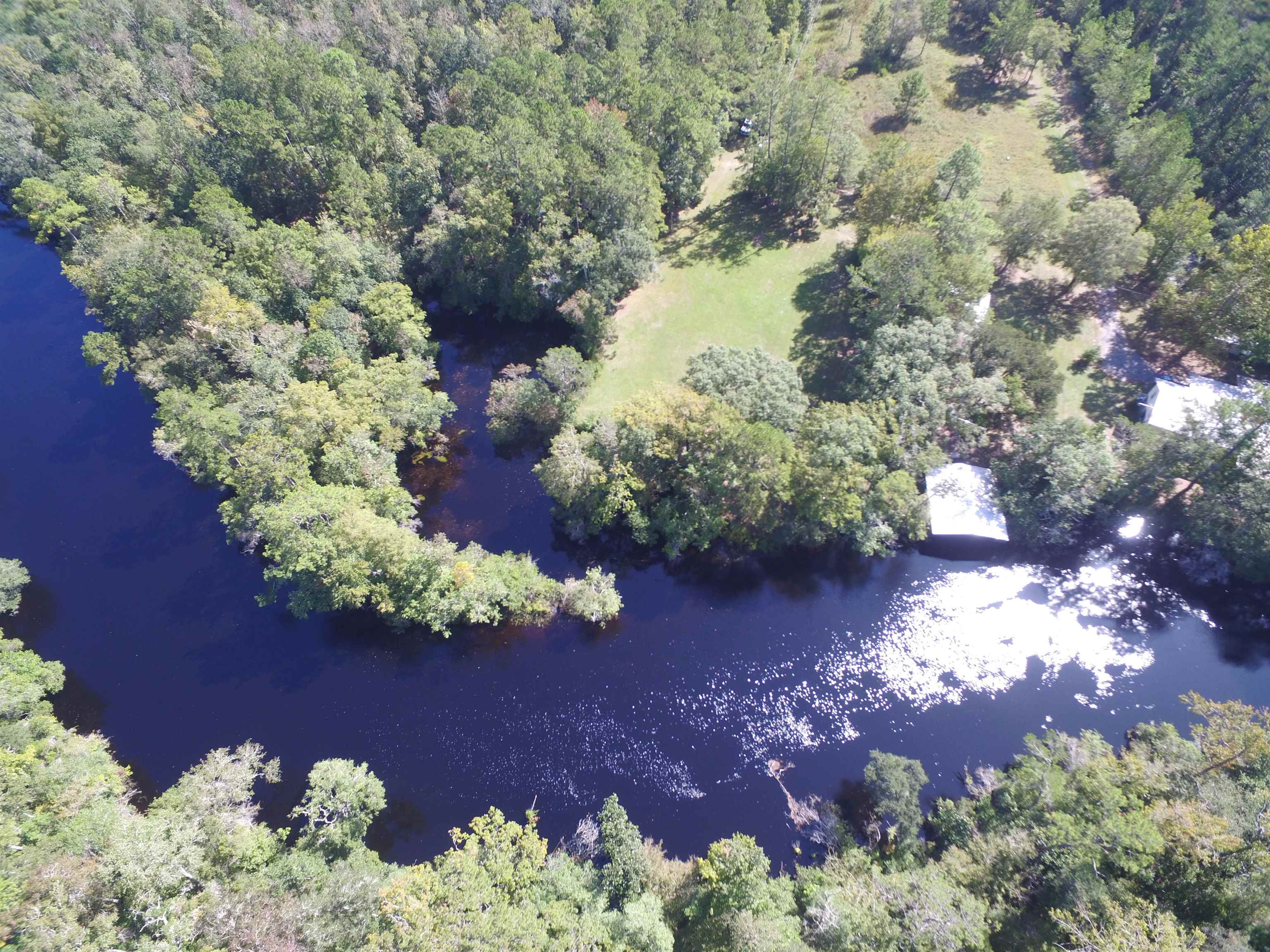 142 Beasley Road Sopchoppy, FL 32358 - Photo 2 of 42