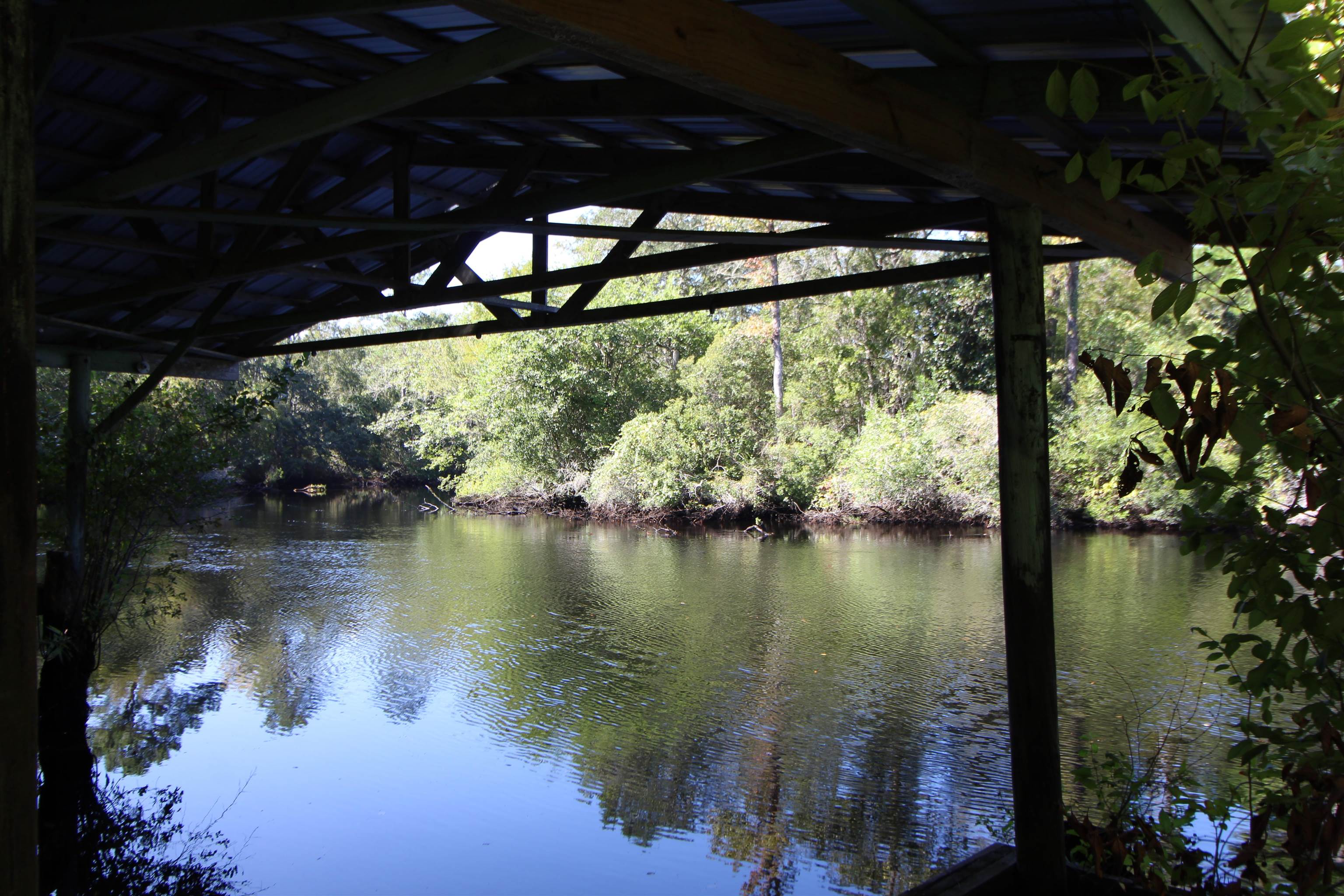 142 Beasley Road Sopchoppy, FL 32358 - Photo 21 of 42