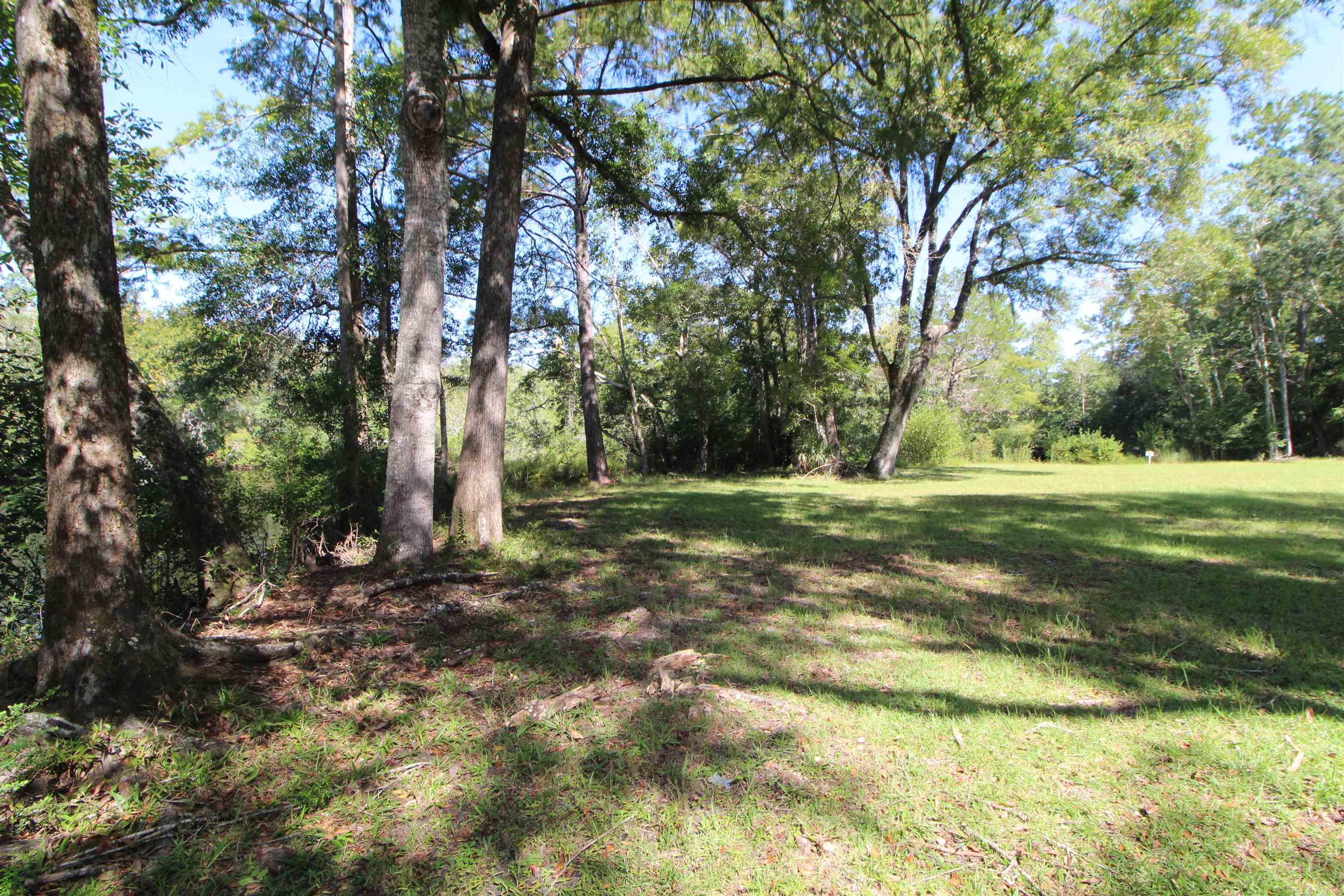 142 Beasley Road Sopchoppy, FL 32358 - Photo 22 of 42