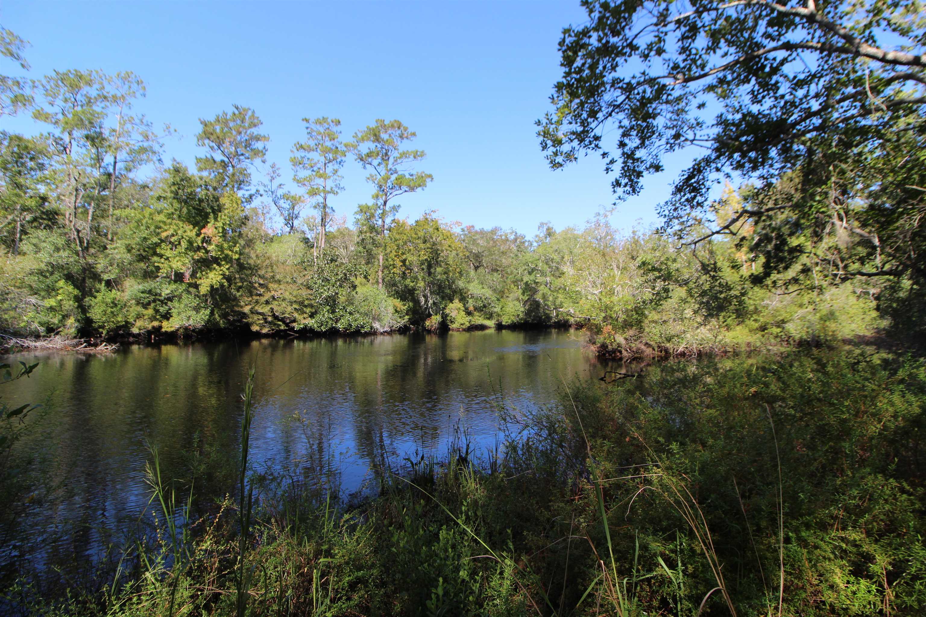142 Beasley Road Sopchoppy, FL 32358 - Photo 24 of 42