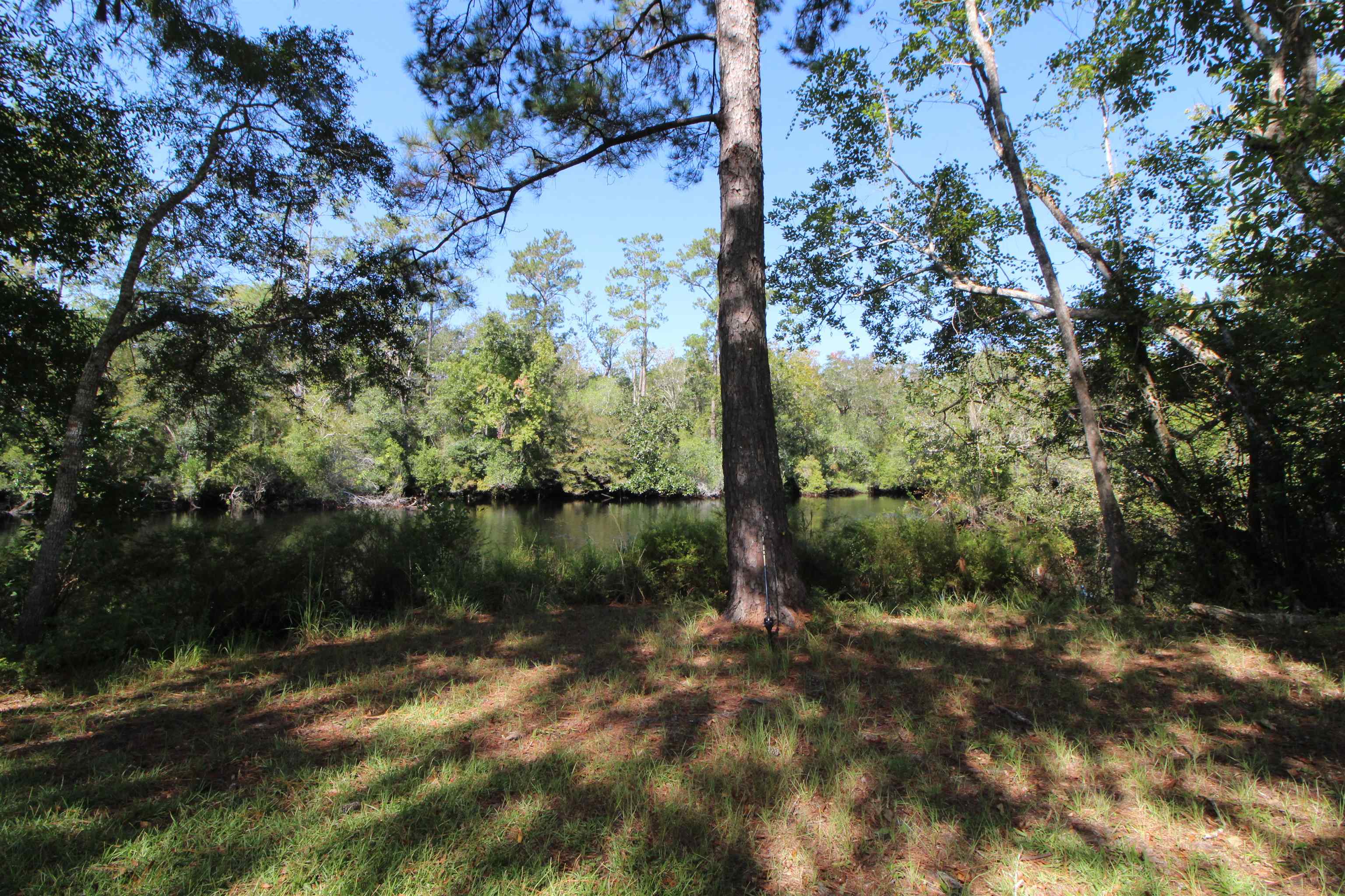 142 Beasley Road Sopchoppy, FL 32358 - Photo 25 of 42