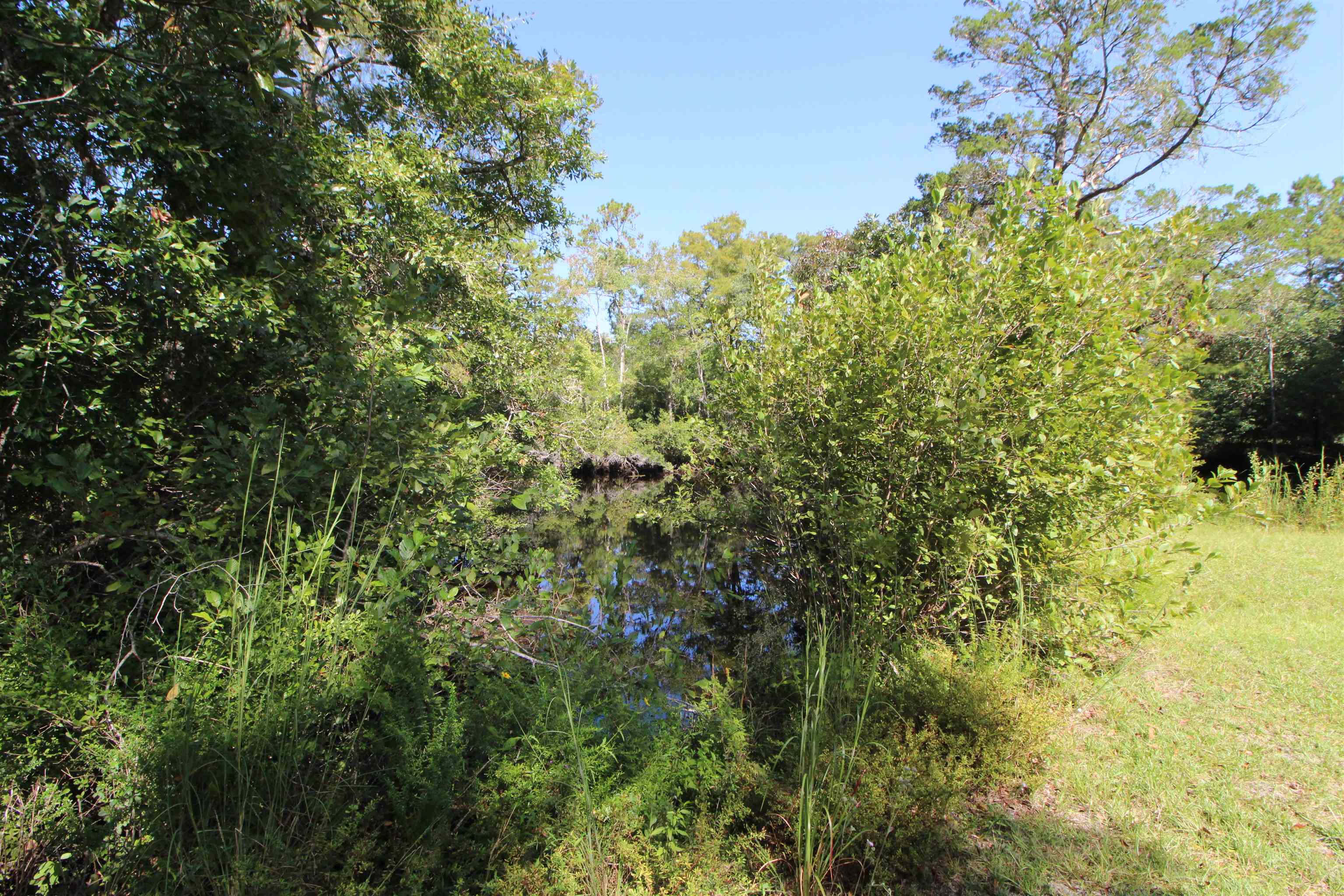 142 Beasley Road Sopchoppy, FL 32358 - Photo 27 of 42