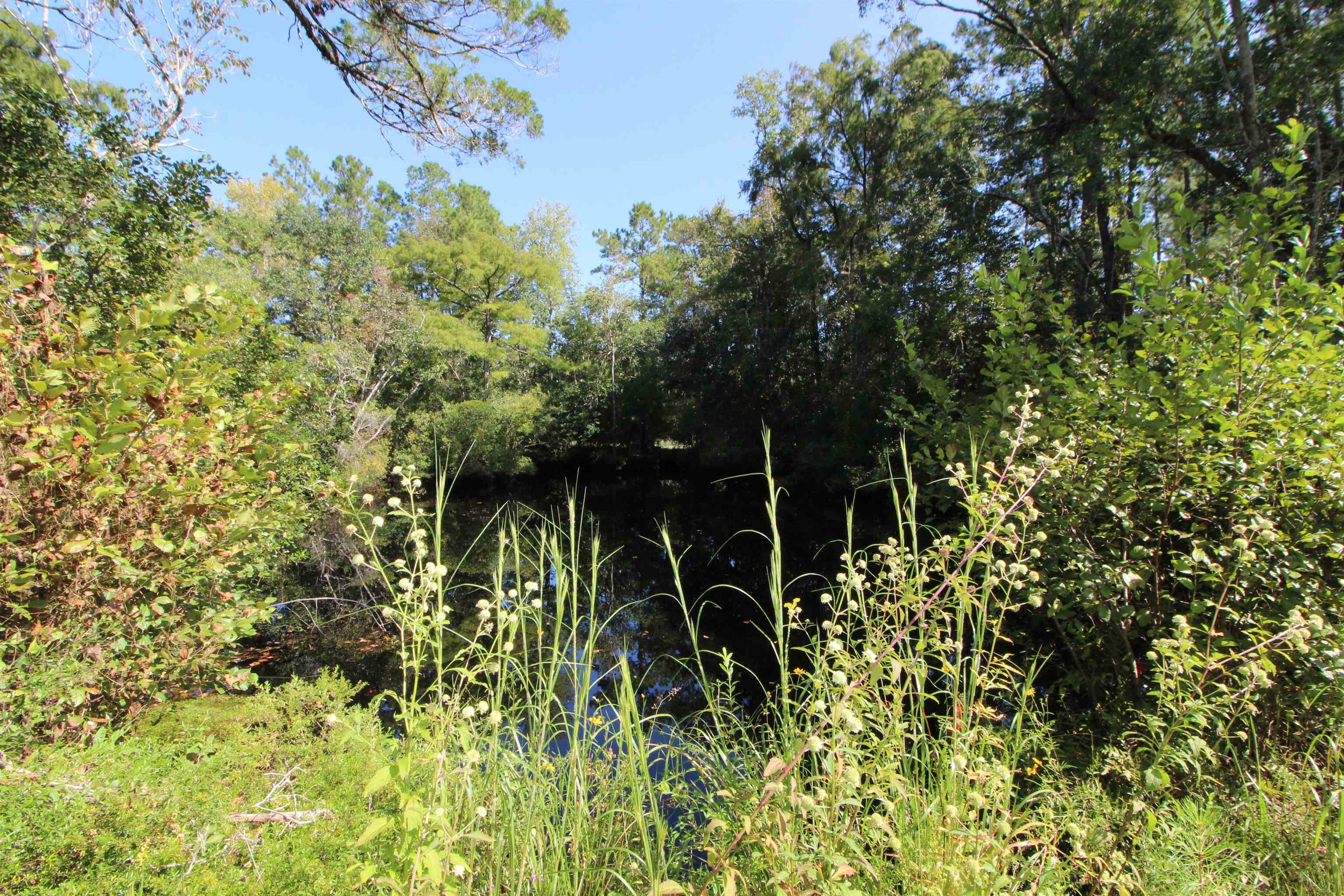 142 Beasley Road Sopchoppy, FL 32358 - Photo 28 of 42