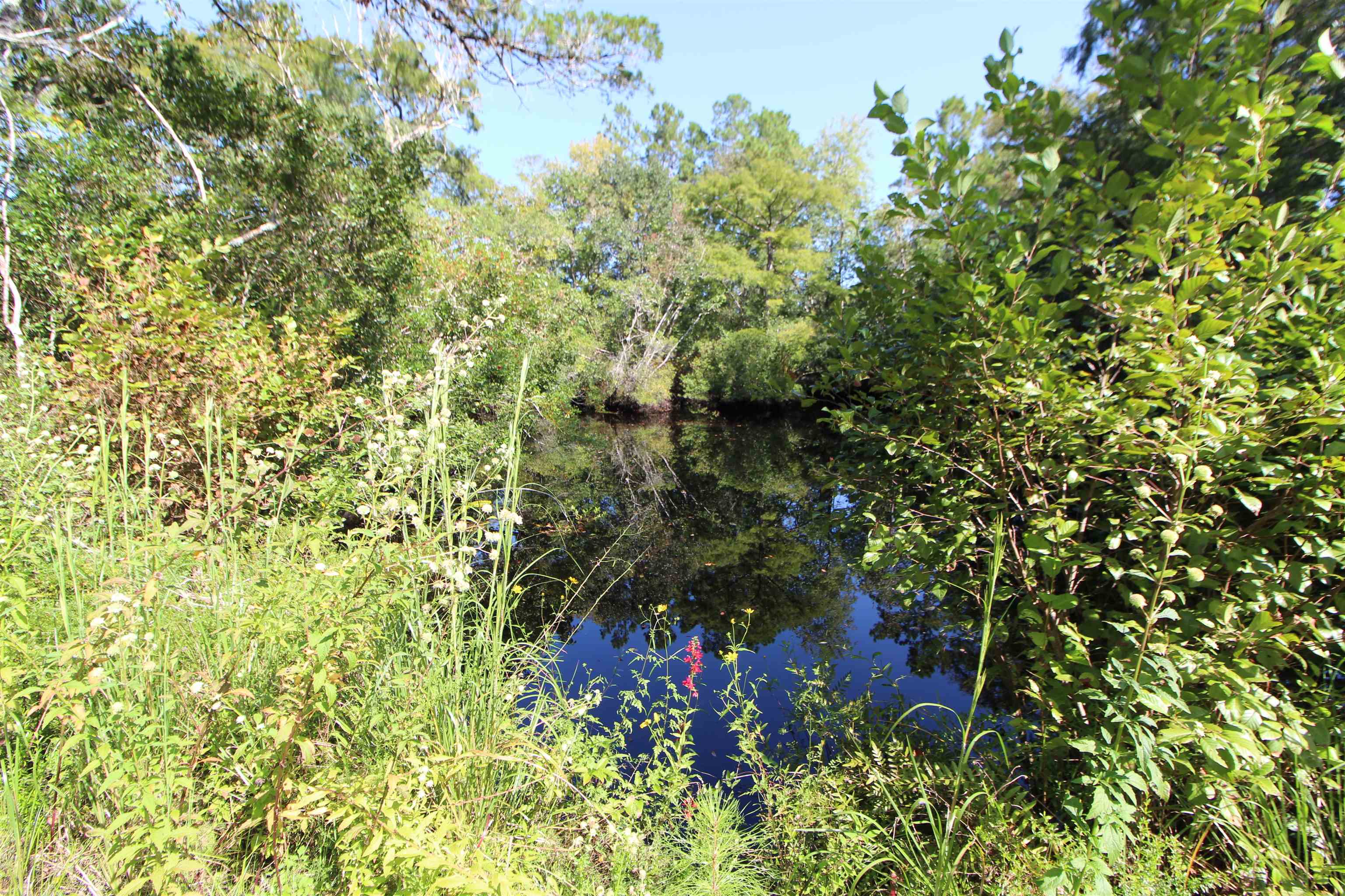 142 Beasley Road Sopchoppy, FL 32358 - Photo 29 of 42
