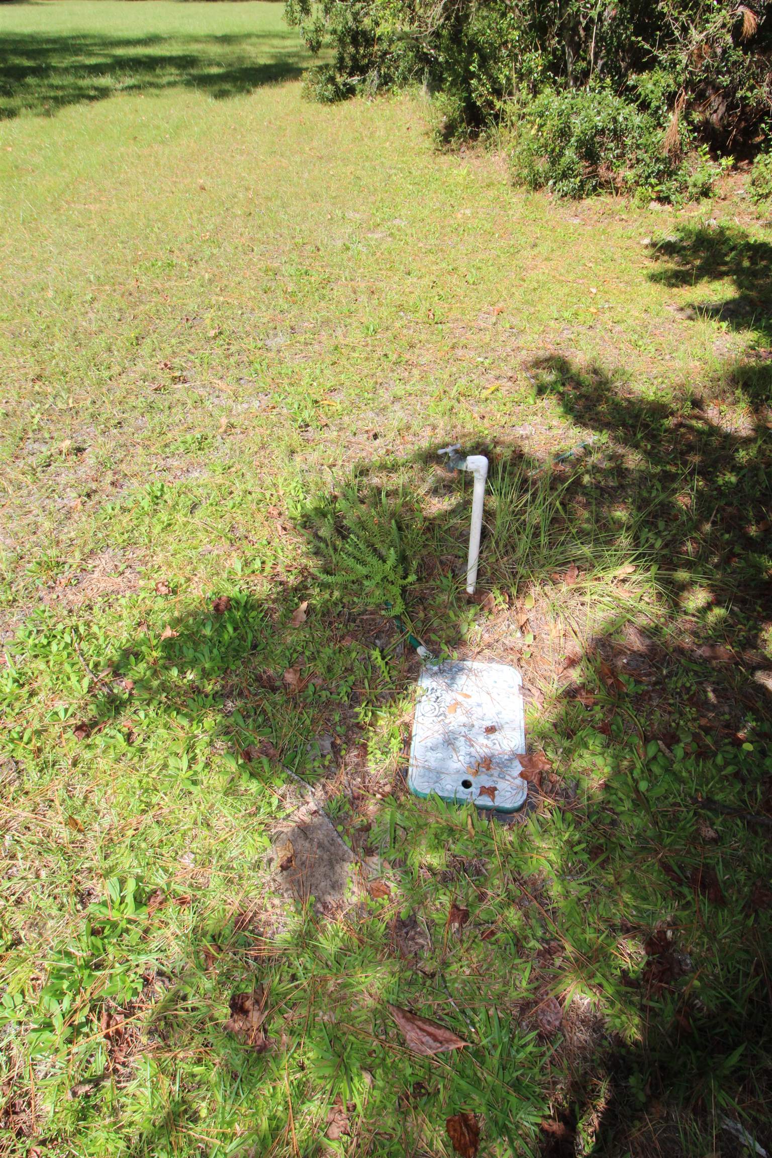 142 Beasley Road Sopchoppy, FL 32358 - Photo 30 of 42