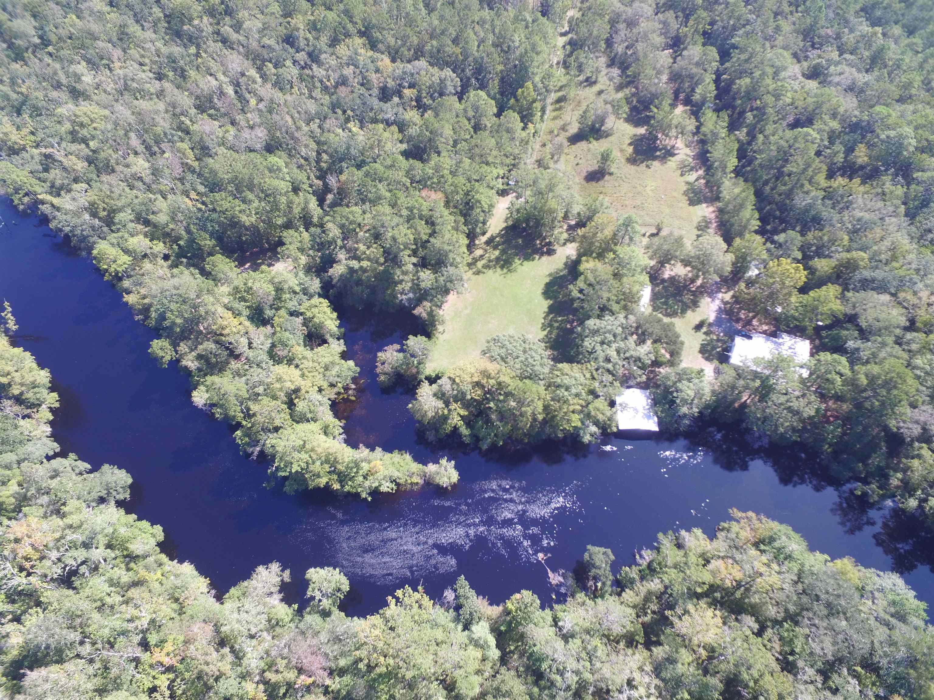 142 Beasley Road Sopchoppy, FL 32358 - Photo 3 of 42