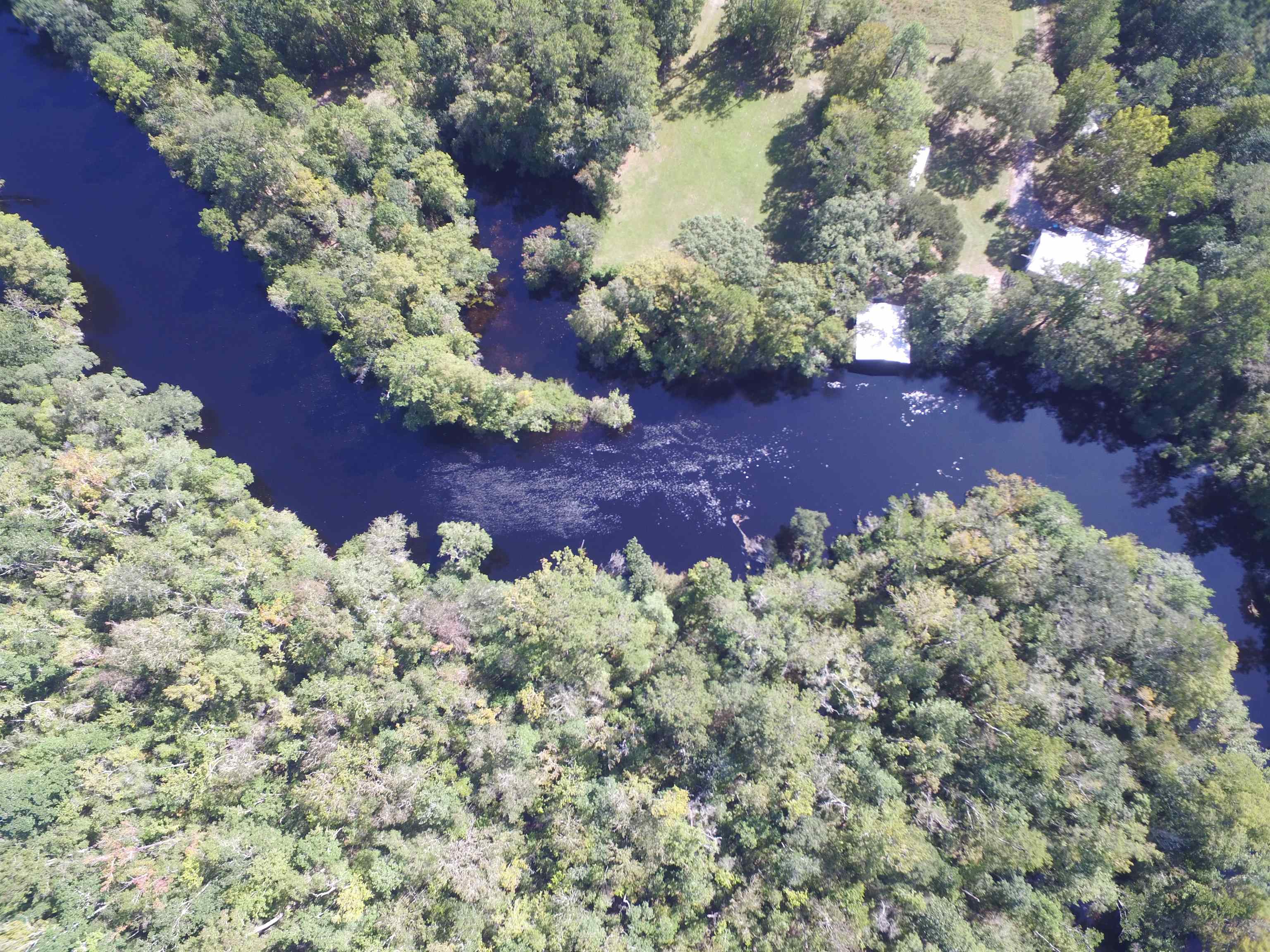 142 Beasley Road Sopchoppy, FL 32358 - Photo 33 of 42