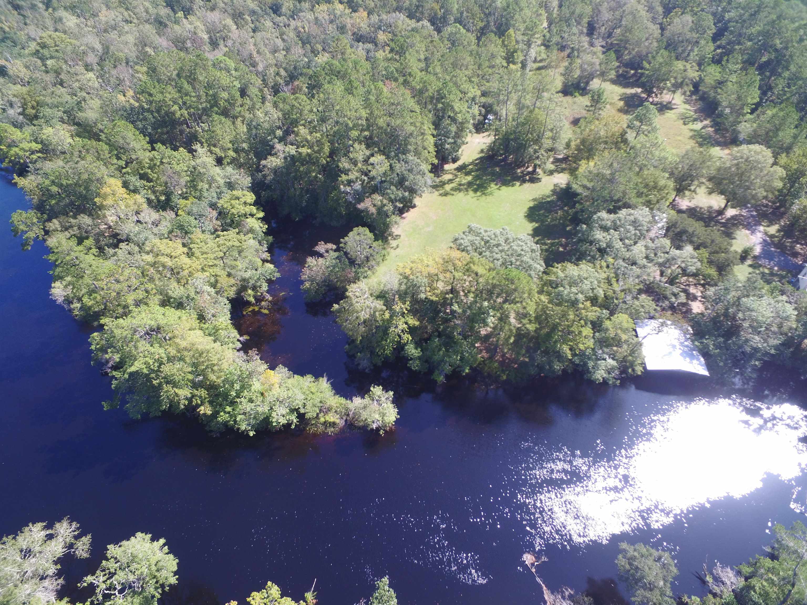 142 Beasley Road Sopchoppy, FL 32358 - Photo 35 of 42