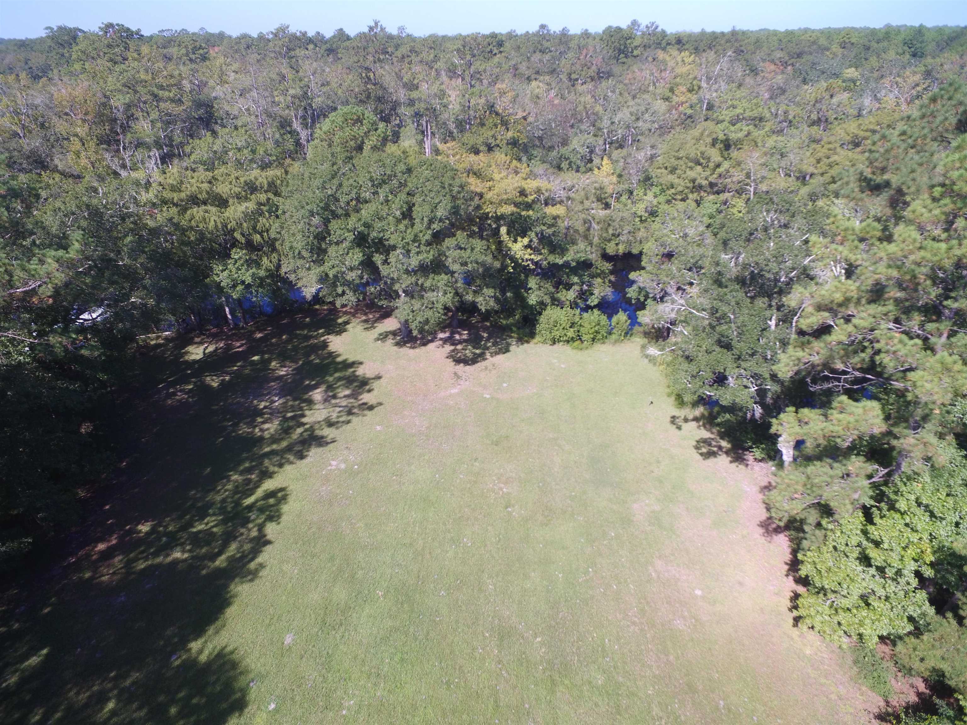 142 Beasley Road Sopchoppy, FL 32358 - Photo 37 of 42