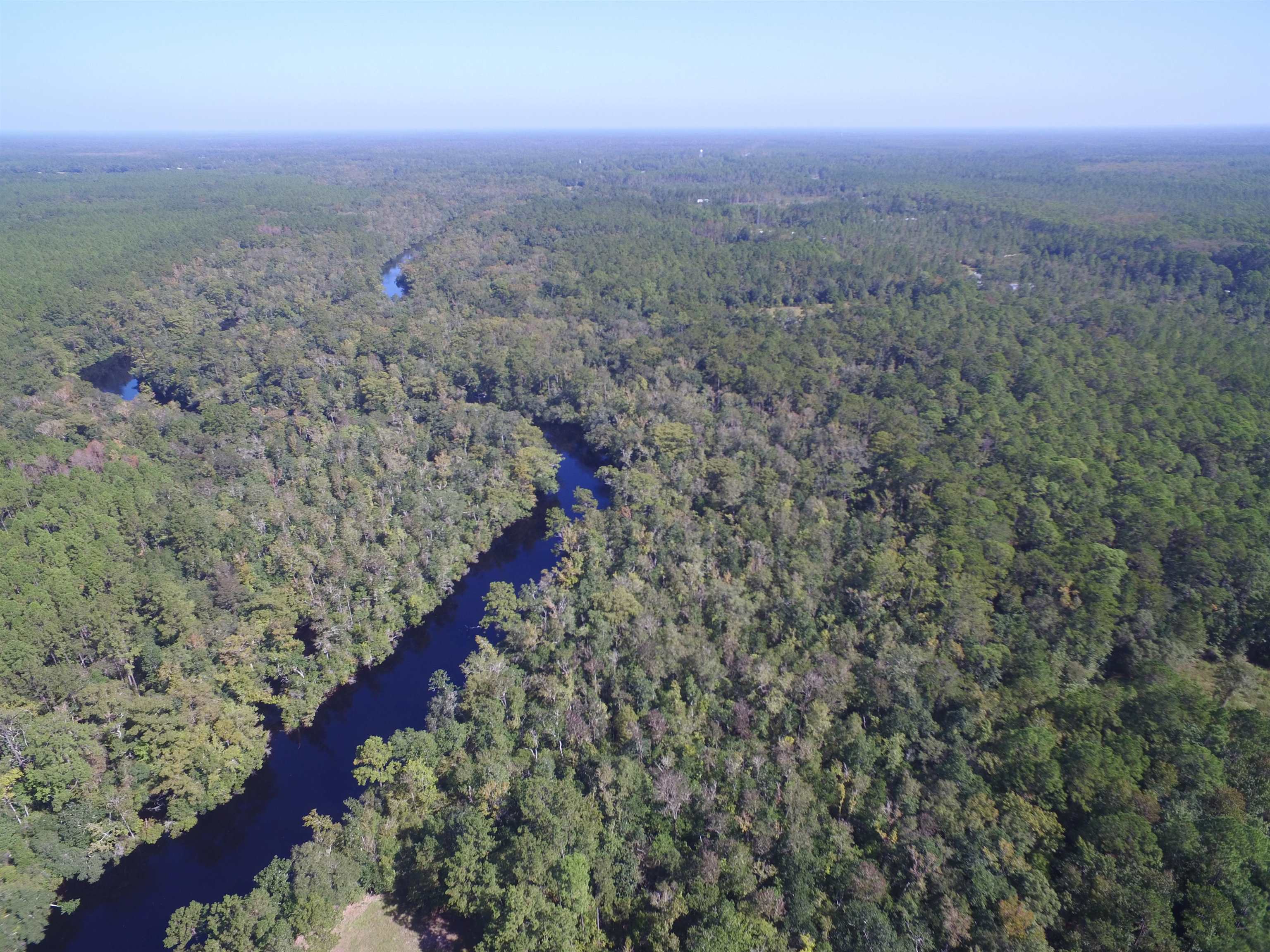 142 Beasley Road Sopchoppy, FL 32358 - Photo 4 of 42